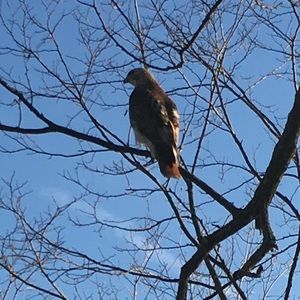 Meet your Posher, Li